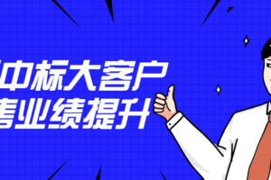 12天中标大客户销售业绩提升