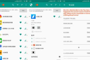 NetGuard网络护卫 v2.303 专业版