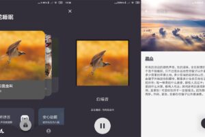 安卓葵花睡眠 v1.3.4 绿色版