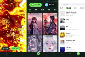 安卓来玩壁纸秀 v1.0.0 绿色版