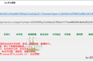 央视网视频超级下载工具 v1.0