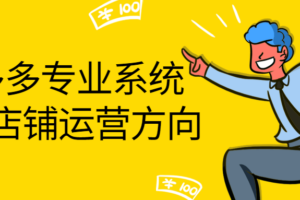 拼多多专业系统给你店铺运营方向