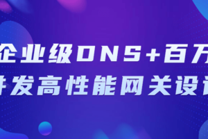 企业级DNS+百万并发高性能网关设计