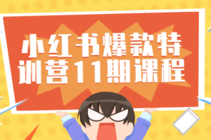 小红书爆款特训营11期视频课程
