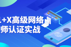 华为1+X高级网络工程师认证实战