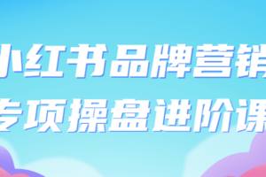 小红书品牌营销专项操盘进阶课