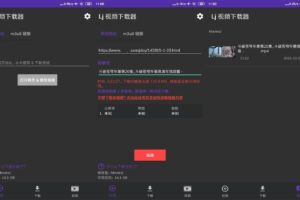 安卓LJ视频下载器 v1.1.04 纯净版