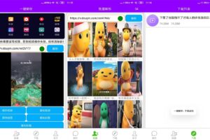 安卓短视频一键解析 v1.0.1 绿色版