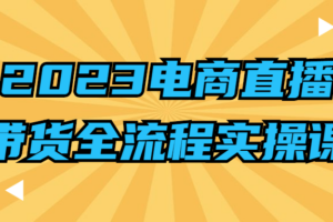 2023电商直播带货全流程实操课