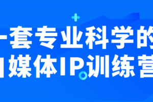 一套专业科学的自媒体IP训练营