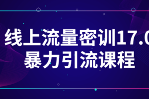 线上流量密训17.0暴力引流课程