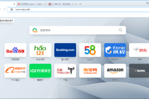 Opera浏览器 v94.0.4606.76 绿色版