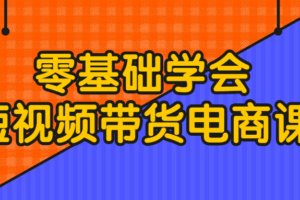 零基础学会短视频带货电商课