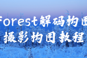Forest解码构图摄影构图教程