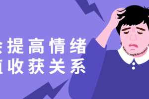 学会提高情绪价值收获关系