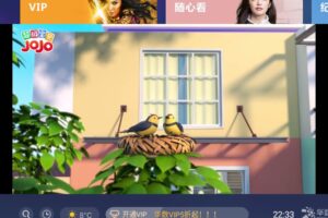 安卓华数TV电视 v9.0.1.99 绿色版