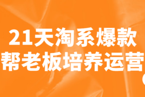 21天淘系爆款帮老板培养运营
