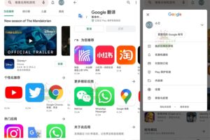 安卓谷歌商店Google Play Store v34.8.07