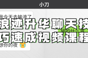 浪迹升华聊天技巧速成视频课程