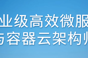企业级高效微服务与容器云架构师
