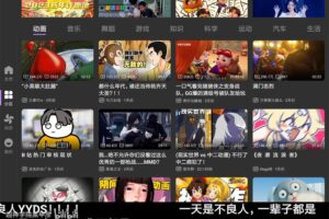 BBLL v1.3.4 B站第三方软件