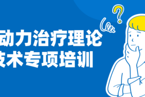 心理动力治疗理论与技术专项培训