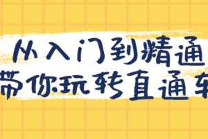 从入门到精通带你玩转直通车