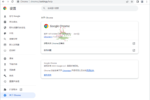 Google Chrome v111.0.5563.147增强版