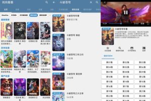 安卓纯纯看番 v3.1.3 精简版