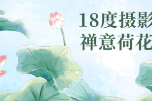 18度摄影学院禅意荷花课程