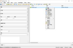 Mp3tag音乐标签编辑器 v3.20