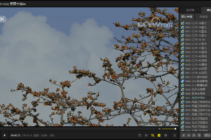 免费全能影音播放器 PotPlayer v1.7.21901绿色版