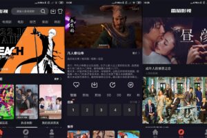 安卓番茄影视 v2.0.8 绿化版