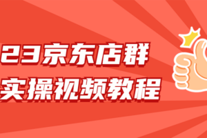 2023京东店群整套实操视频教程