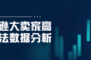 亚马逊大卖家高阶打法数据分析