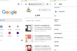安卓谷歌浏览器Google Chrome v113.0.5672.77