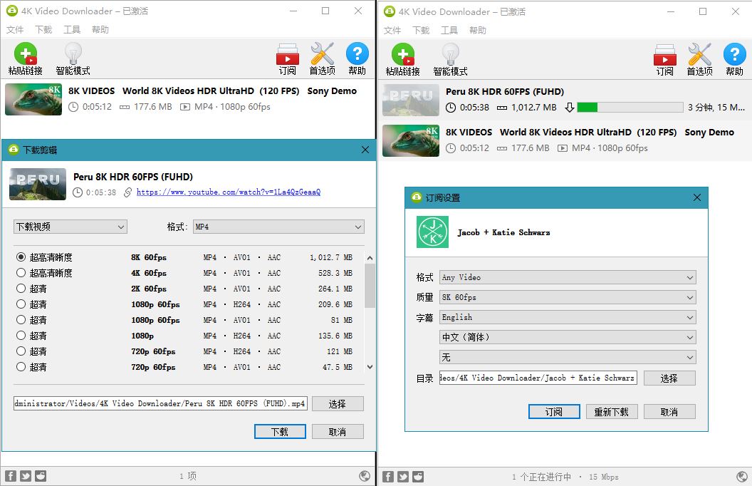 4K Video Downloader v4.24.3.5420