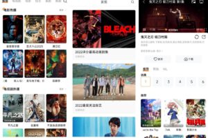 安卓醉拳影视 v2.1.0 绿化版