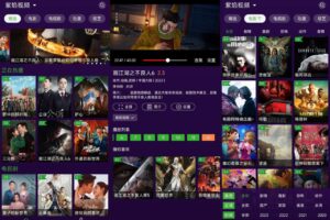 安卓紫焰视频 v1.3.0 绿化版