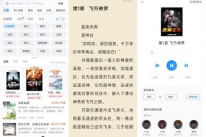 Wise Care 365 v6.5.5.627特别版