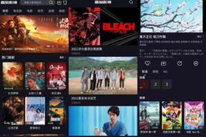 安卓番茄影视 v2.1.0 绿化版