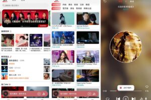 安卓云听音乐 v1.1.3 绿化版