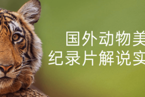 国外动物美食纪录片解说实战课