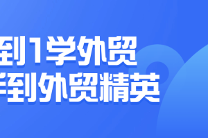 0到1学外贸新手到外贸精英