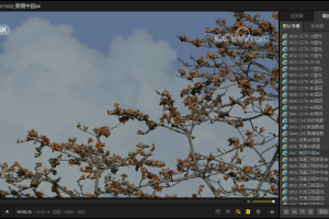 PotPlayer v1.7.22125绿色版