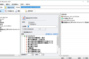 Flexible Renamer文件批量重命名工具 v8.4