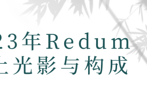 2023年Redum三土光影与构成