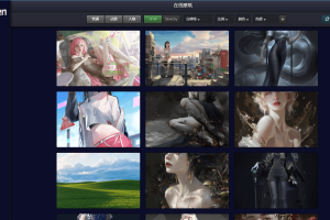 Wallhaven壁纸管理工具v4.4.6