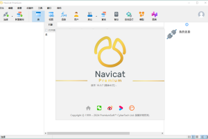 Navicat Premium v17.0.12绿色版