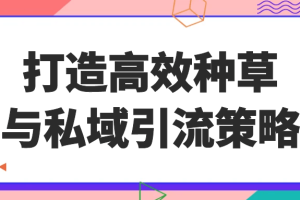 打造高效种草与私域引流策略